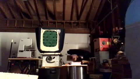 Snapshot of jawssharkparty chatting on October 2025 04:22:02 AM Jaws online show from October 2025 04:22:02 AM