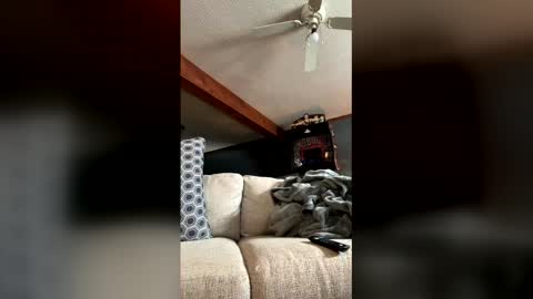 Jaws  online show from January 2026 07:50:02 PM