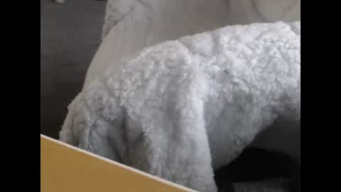 Snapshot of jayboo777 chatting on December 2024 05:04:01 PM sissy gurl online show from December 2024 05:04:01 PM