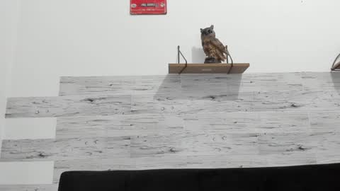 Jaycreedd online show from January 2025 04:55:02 AM