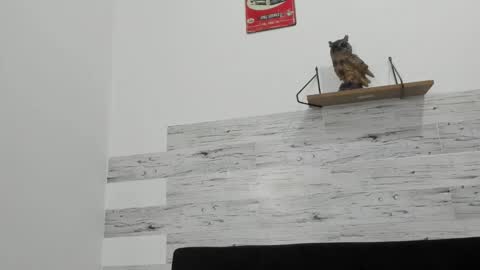 Jaycreedd online show from October 2025 01:26:01 AM