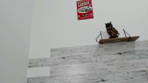 Jaycreedd online show from October 2025 10:09:01 PM