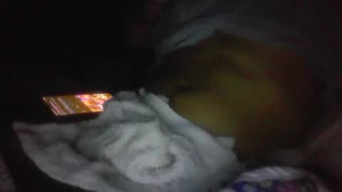 jaywulf22 online show from January 2026 05:11:02 AM