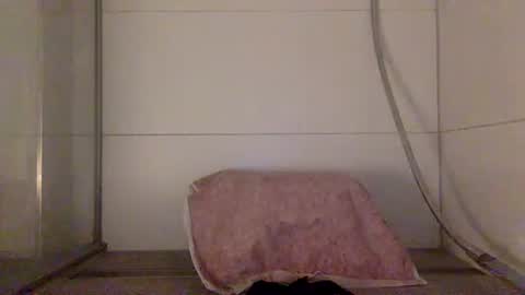 Snapshot of jayzee1996 chatting on October 2025 08:18:01 PM Hafte online show from October 2025 08:18:01 PM