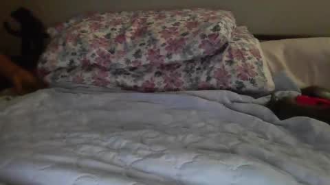 jazzilove online show from December 2024 03:56:02 AM