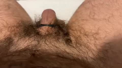 jbfatcock12345 online show from August 2026 09:42:02 PM