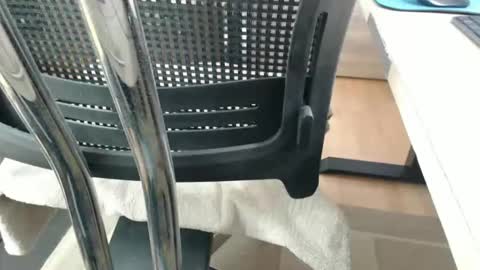 jc200000 online show from April 2026 05:28:01 PM