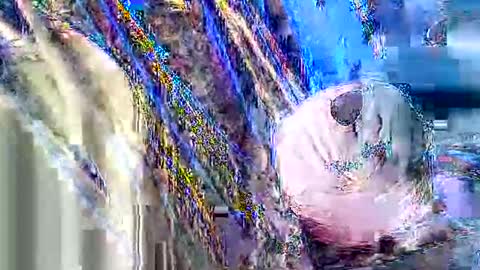 jcfoxx0920 online show from October 2025 01:41:02 PM
