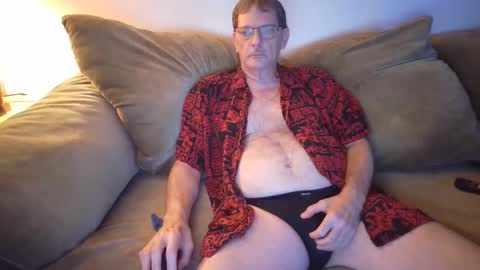 Bear in Massachusetts online show from September 2025 08:52:01 AM