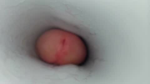 Snapshot of jeffrodgerschaturbat chatting on January 2026 07:46:02 AM jeffrodgerschaturbat online show from January 2026 07:46:02 AM