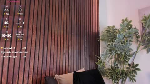     online show from January 2025 03:09:02 PM