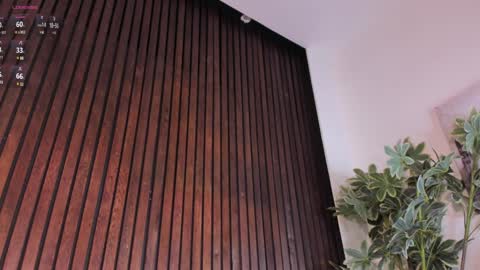     online show from January 2025 03:13:02 PM