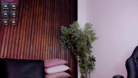     online show from November 2025 01:36:01 PM