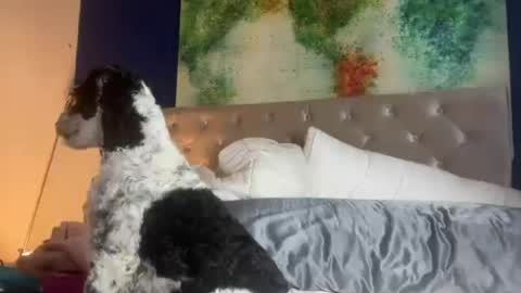 jenny1777 online show from June 2026 01:08:01 AM