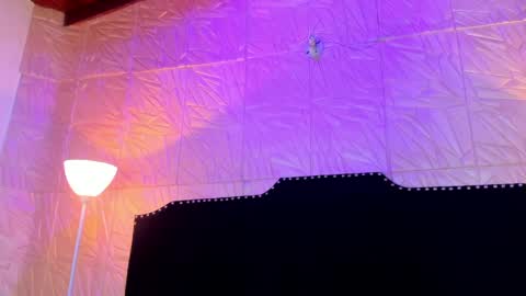  Jenny  online show from March 2026 11:16:02 AM