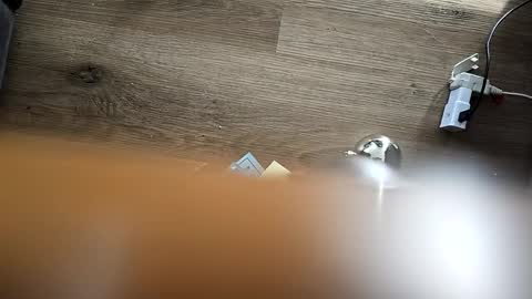 Jeremynew13 online show from December 2024 07:36:01 PM