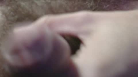 jerkingtyce online show from May 2026 03:12:01 AM