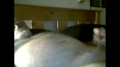 Snapshot of jerkmate6666 chatting on May 2026 03:56:01 AM jerkmate6666 online show from May 2026 03:56:01 AM