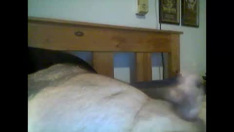 Snapshot of jerkmate6666 chatting on May 2026 12:50:01 AM jerkmate6666 online show from May 2026 12:50:01 AM