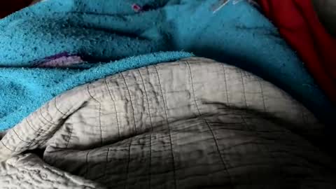 Jeremys room chill and puff one enjoy online show from December 2024 02:34:02 PM