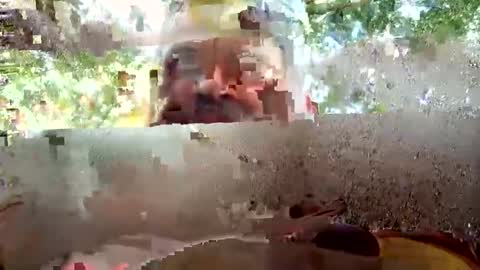Snapshot of jerzey_n_bam chatting on September 2025 11:26:02 PM jerzey_n_bam online show from September 2025 11:26:02 PM