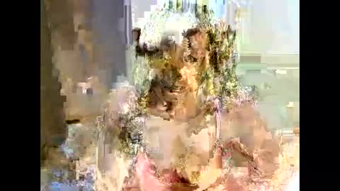 jessajoyy online show from February 2025 04:11:01 PM
