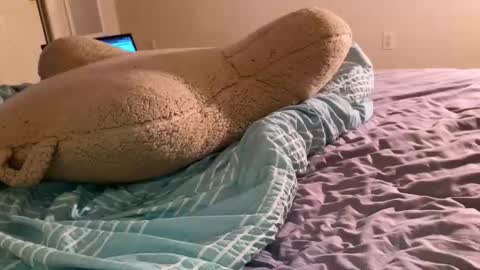 Snapshot of jessesbubble chatting on June 2026 02:53:01 AM Jesse online show from June 2026 02:53:01 AM
