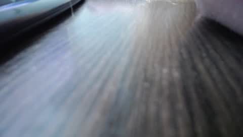 Jess online show from December 2024 10:34:02 AM