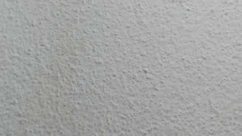 JESSY CORTES online show from April 2026 05:12:02 AM