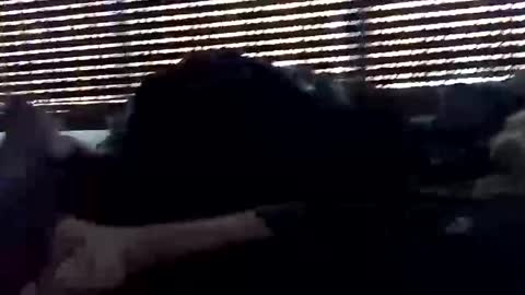 jf19861119 online show from October 2025 05:33:02 PM