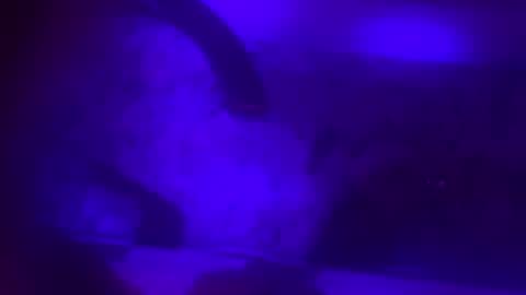 Jessica online show from February 2025 10:07:02 AM