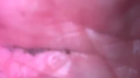 jim2233442211 online show from September 2025 02:13:02 AM