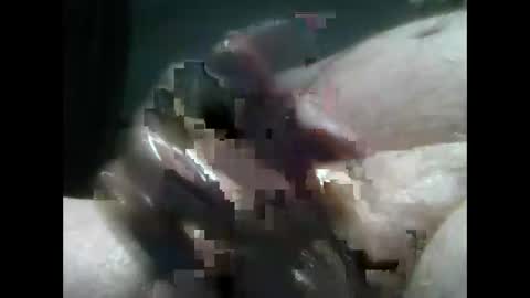 Snapshot of jimboluv488 chatting on December 2024 02:10:02 AM jimboluv488 online show from December 2024 02:10:02 AM