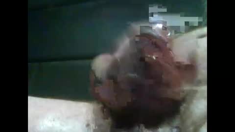 Snapshot of jimboluv488 chatting on February 2025 02:18:01 AM jimboluv488 online show from February 2025 02:18:01 AM