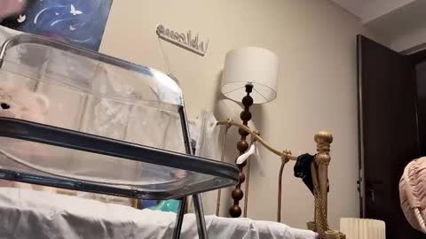 meng meng online show from February 2026 02:45:01 PM