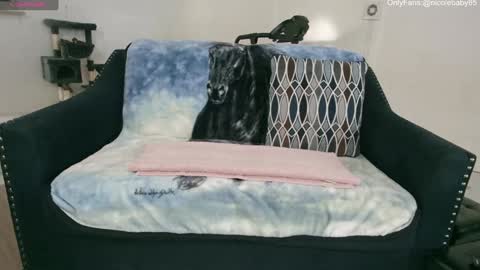 Nicole  Allen online show from January 2025 10:24:02 PM