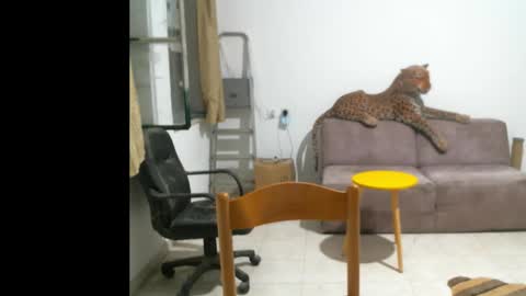 jlmbud online show from October 2025 10:41:01 PM