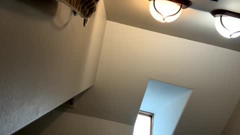 Jimmy online show from February 2025 05:14:01 PM