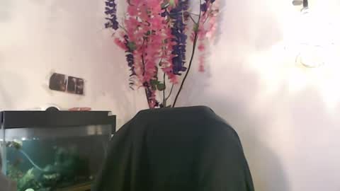 Nick online show from December 2024 04:17:01 PM