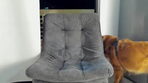 Snapshot of joan_saenz chatting on January 2025 03:47:01 AM JOAN SAENZ online show from January 2025 03:47:01 AM