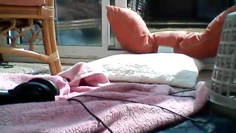 Snapshot of joes8888 chatting on July 2026 02:19:02 PM Joe online show from July 2026 02:19:02 PM