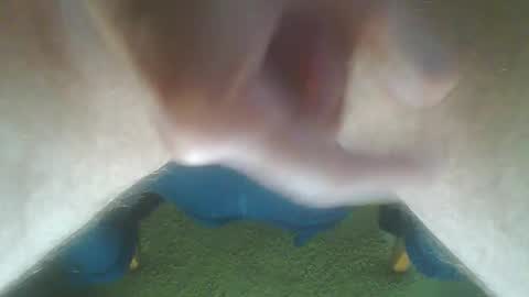 John Death online show from October 2025 10:16:02 AM