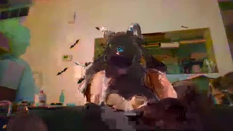 johnnyadepth online show from November 2025 01:07:02 AM