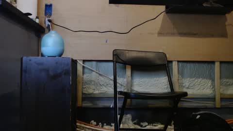 Snapshot of johnplayer23 chatting on January 2025 01:31:02 AM johnplayer23 online show from January 2025 01:31:02 AM