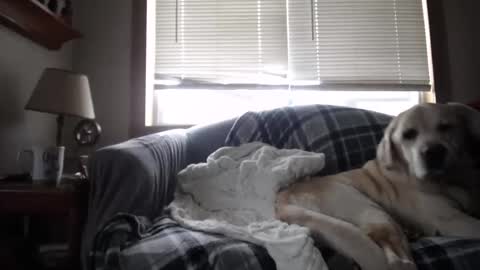 Johston online show from November 2025 01:44:02 PM