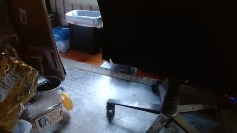 joncpics online show from November 2025 08:21:01 PM