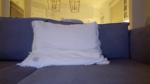 Snapshot of jonesy420xoo chatting on December 2024 01:58:01 AM jonesy420xoo online show from December 2024 01:58:01 AM