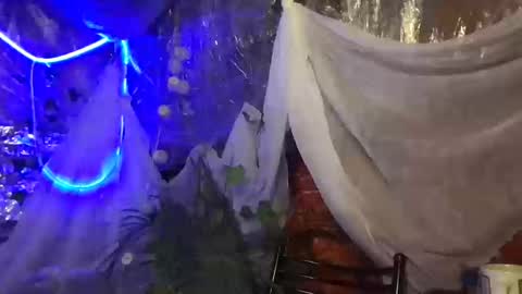 Jony Marta GMT 2000-0100 every day online show from October 2025 02:51:02 PM