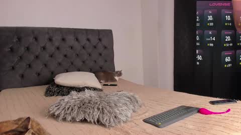 Snapshot of jordanmusk_ chatting on December 2024 11:37:02 PM Will online show from December 2024 11:37:02 PM