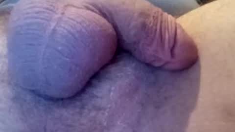 Jtho online show from March 2025 11:29:01 AM